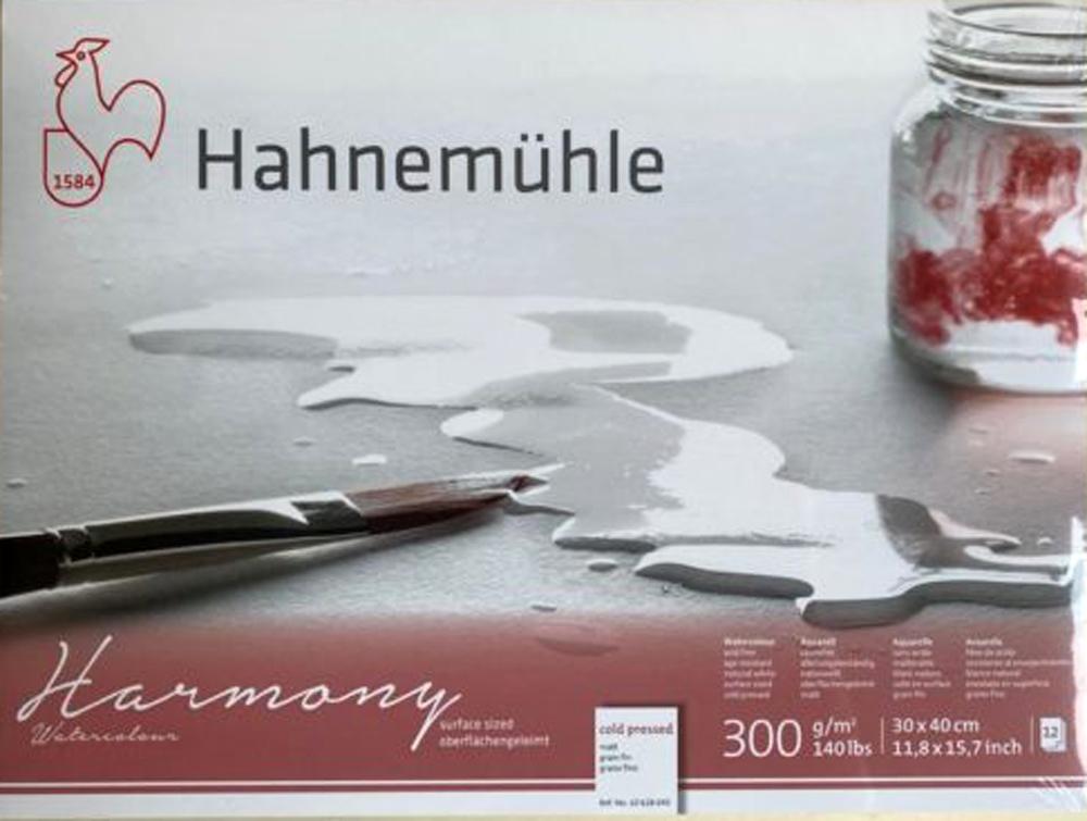12 hojas 40 x 50 cm grano fino Hahnemuhle Harmony bloc de acuarela